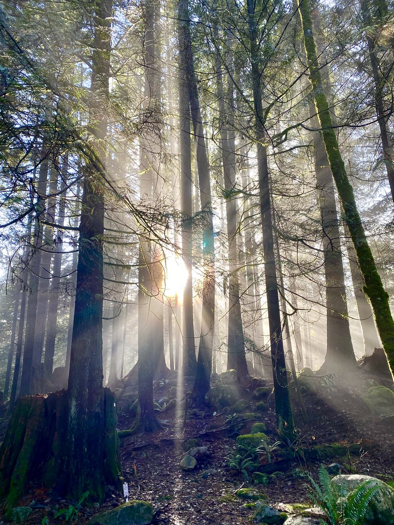 Heather Christo Reiki
